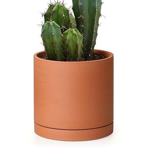 Terracotta Plant Pot with Saucer, 6 Inch, 40-X-A-3