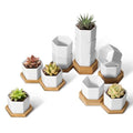 Small Succulent Pots 12 Pack, Mini Flower Planters with Drainage White