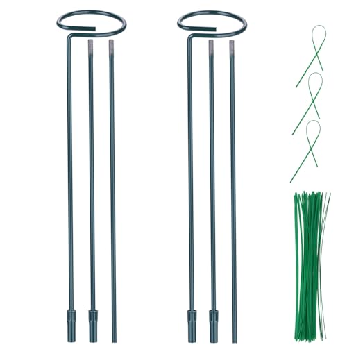 2 Pack (DIY) Plant Support Stakes, Three Sizes (12 or 24 or 36 inch) Plant Support Rings with 20 Pcs Plant Twist Ties, Garden Stake for Indoor Outdoor Plant Flowers, Amaryllis,Tomatoes