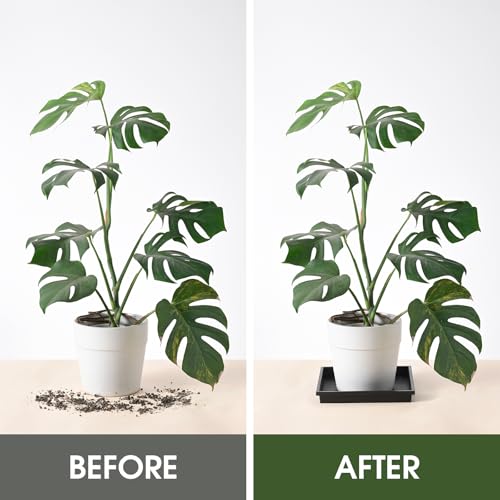 Square Plant Saucer 12 Inch 2 Pack Tray Plastic Pot for Outdoor - view 3