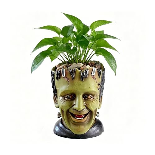 Funny Planters Head Planter for Indoor Plants, Succulent Pot with Drainage Hole Fairy Garden Resin Cactus Pencil Holder Desk Storage Gift for Women Men Plant Pot - view 2