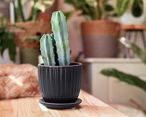 2-Pack Stoneware Planter Pots, 4.5/5.8 in, Black, 99-D-2 - view 7