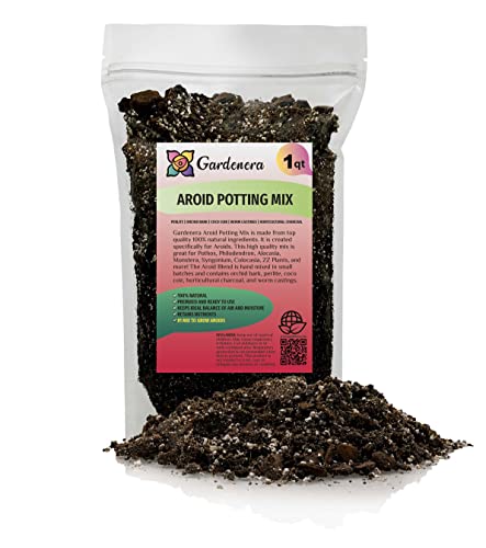 Premium Aroid Potting Mix - 1 Quart - Soil Free Blend for Aroids - Growing Medium for House Plant