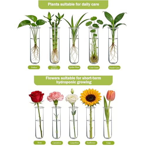 Wall Hanging Propagation Station with Wooden Stand Glass Test Tubes Tiered Planters Wall Terrarium for Home Office Plant Hanger Flower Vases Wall Decor Hydroponic Cuttings (9 Tube Vases) - view 6
