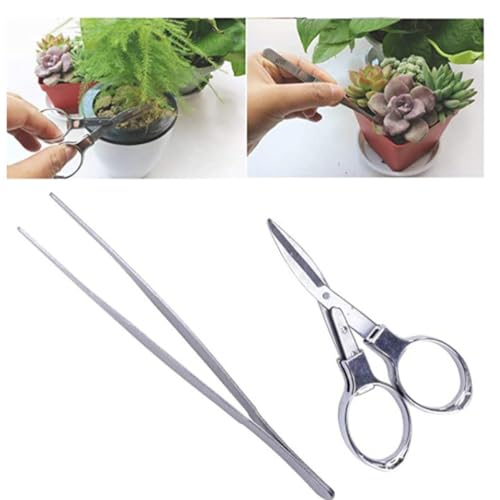10pcs Mini Garden Tools Set Wooden Succulent Planting Kit for Cacti - view 6