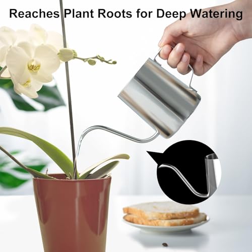 Small Watering Can for Indoor Plants, Plant Watering Can, 12 oz - view 3