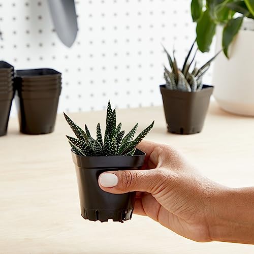 Square Nursery Pots - Seedling Planters with Drainage Holes - Versatile Pots for Plants & Succulents - Space-Saving Stackable Planters - 2.6 in, Pack of 150, Black - view 2