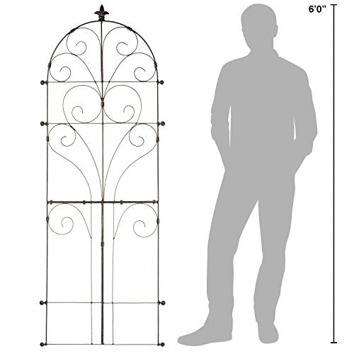 Scroll Garden Trellis 73.5"H, Freestanding Heavy Duty Iron 34 lbs - view 3