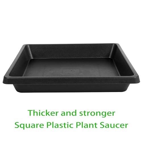 Plant Saucer 12 Inch Square 4 Pack 6 8 10 14 16 18 20 inch, Plant Saucers for Indoors and Outdoors, Saucers for Potted Plants, Planter Saucer, Plant Water Catcher Trays for Pots - view 4