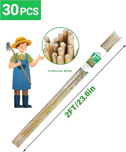 Natural Bamboo Plant Stake, 2FT, 30Pcs - view 2
