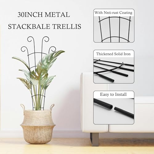 30 Inch Trellis for Climbing Plants Indoor 3 Pack Indoor Plant Trellis for Potted Plants Metal Garden Trellis for pots Indoor Outdoor for Monstera Pothos Vine Ivy Hoya(30inch Black) - view 3