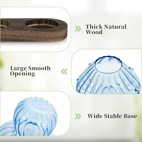 Mushroom Glass Plant Propagation Station with Wooden Stand 5Pcs - view 5