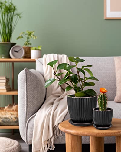 2-Pack Stoneware Planter Pots, 4.5/5.8 in, Black, 99-D-2 - view 5