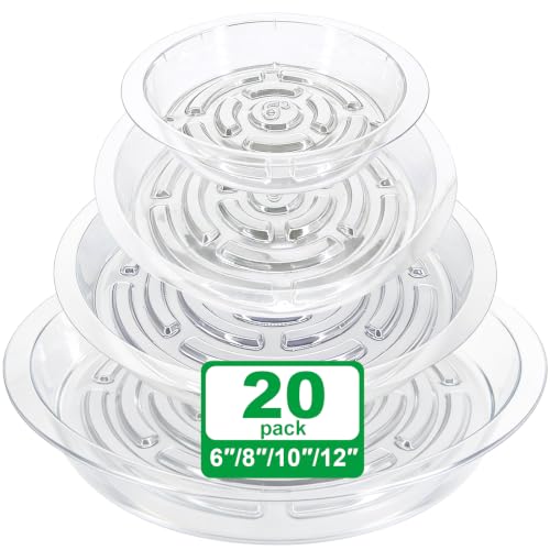 20 Pack Clear Plant Saucers (6/8/10/12 in) – Indoor/Outdoor | Plant Saucer, Plant Trays, Plant Drip Trays, Plant Water Catcher Tray, Plastic Trays for Plants, Flower Pot Saucers.