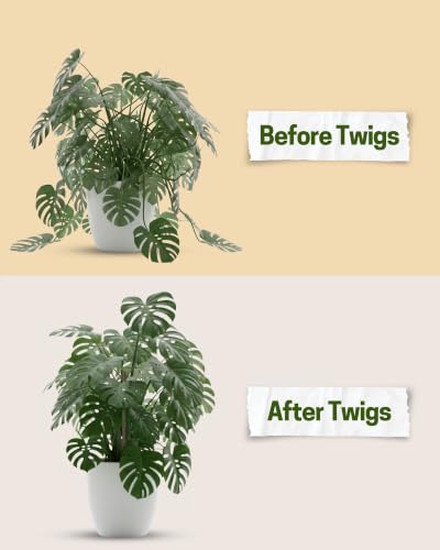 Mini Plant Support Stakes, Monstera Dark Green, 10-Pack, 12" L - view 4