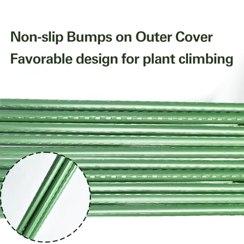 Plant Stakes 36 inch, 3ft Steel Garden Stakes 25 Pack, Sturdy Plant Support for Climbing Plants, Tomatoes, Beans, Cucumbers, Peppers, Flowers, Potted, Strengthen and Stem to Grow Better - view 4
