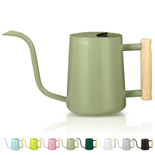 Watering Can Indoor Plants, 35oz Small Indoor Stainless Steel Metal Watering Can Modern Decorative Watering Pot with Long Spout for Indoor House Plant Bonsai Garden Flowers (Sage Green)