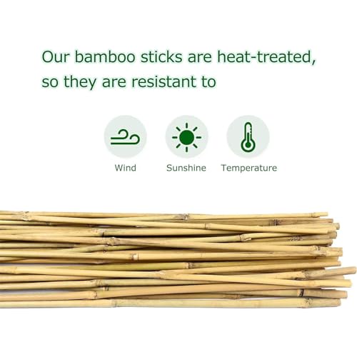 Bamboo Stakes for Plants, 20 Pack Plants Stakes 5 Feet(58in) - view 3