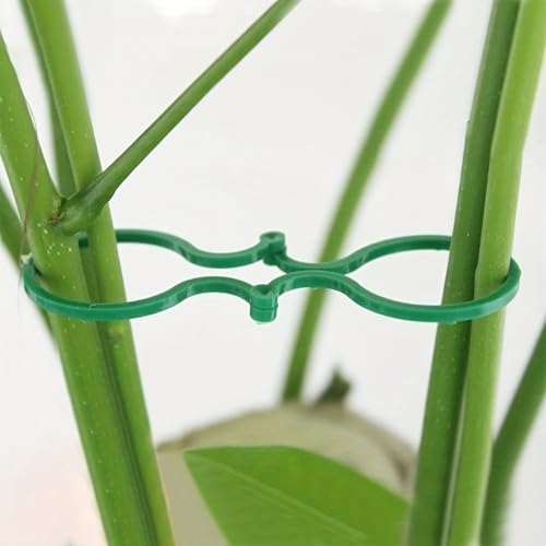 20-Pack Plastic Garden Plant Tie Clips – Tomato Vine Support Fasteners, Reusable Stem Strap Buckle Clamps for Securing Climbing Plants
