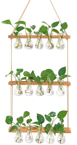 Wall Hanging Propagation Station 5 Bulb Vase 3 Tiers