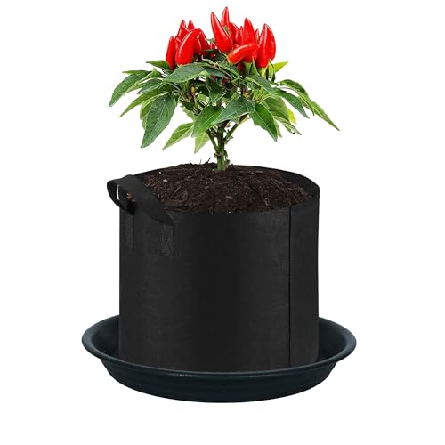 2 Pack Plant Saucer Drip Tray 11 12 inch, Pot Base for Plants Indoor, Plastic Flower Planter Saucers and Drip Trays for Outdoors, Heavy Durable Plant Plate Water Catcher (12", Black) - view 5