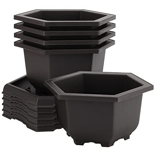 5 Pack Bonsai Pots, Hexagon Built in Mesh Plastic Bonsai Training Pots with Trays, Plant Flower Tree Growing Bonsai Planter for Garden Supplies, Yard, Office, Room, Balcony,7.4 Inch
