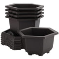 5 Pack Bonsai Pots, Hexagon Built in Mesh Plastic Bonsai Training Pots with Trays, Plant Flower Tree Growing Bonsai Planter for Garden Supplies, Yard, Office, Room, Balcony,7.4 Inch