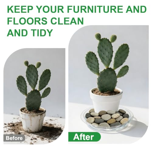 20 Pack Clear Plant Saucers (6/8/10/12 in) – Indoor/Outdoor | Plant Saucer, Plant Trays, Plant Drip Trays, Plant Water Catcher Tray, Plastic Trays for Plants, Flower Pot Saucers. - view 4