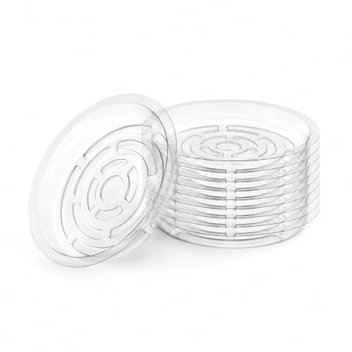 Heavy Duty Clear Plastic Plant Saucers, Flower Pot Tray - Excellent for Indoor & Outdoor Plants (8-Inch, 10-Pack)