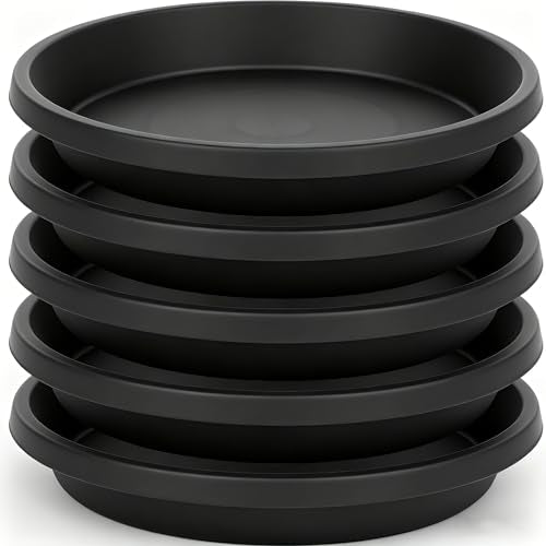 Plant Saucer 6 Inch 5 Pack,Heavy Sturdy Plant Trays 8 10 12 14 16 18 20 Inch, Plant Water Catcher Tray for Plants, Plastic Plant Saucers for Indoors no Holes for Pots (6 inch