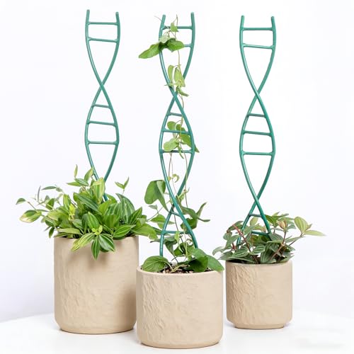 3PCS Indoor Plant Trellis for Potted Plants - Metal Houseplant Trellis