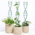 3PCS Indoor Plant Trellis for Potted Plants - Metal Houseplant Trellis