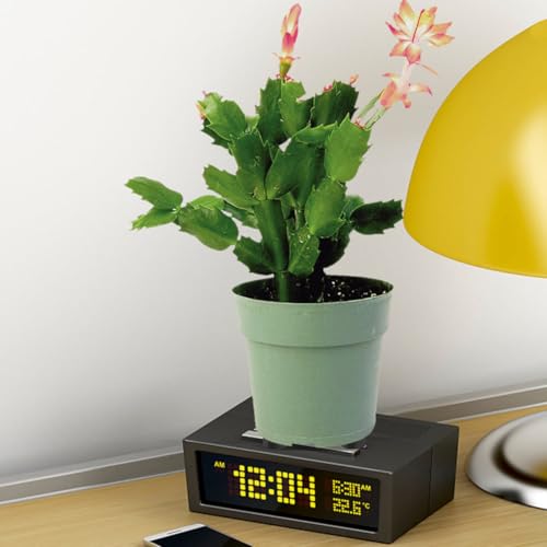 16pcs Rubber Flowerpot Cushion Shockproof Pad for Indoor Plant Stands - view 4