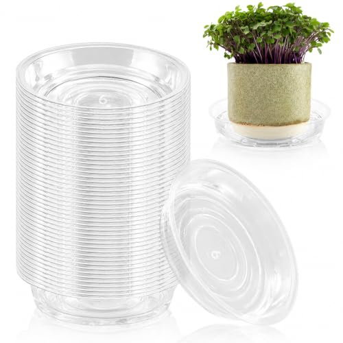 60 Pack 6 Inch Plant Saucer Clear Plant Saucers for Indoors Flower Pot Saucers Small Plants Plate Dish Succulent Pot Saucer Plants Trays for Pots Bulk Plastic Tray for Flower Cactus Nursery Pots