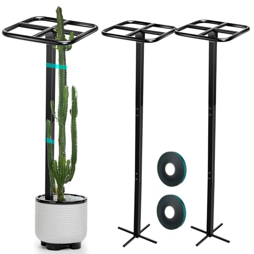 2 Pack 60 Inch Dragon Fruit Trellis Adjustable Garden Metal Plant Climbing Support with Wide Stretch Ties for Outdoor Vertical Gardens Vining Plants