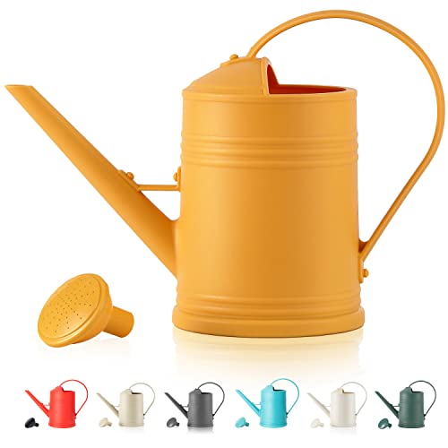 Plastic Indoor Watering Can with Detachable Sprinkler Head - 68oz (1/2 Gallon) for House Plants and Flowers