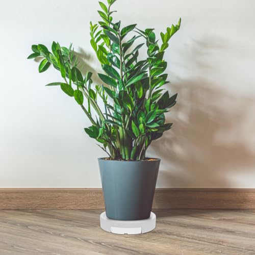 Plant Tray and Built-in Water Container with Wheels for Potted Plants - view 5