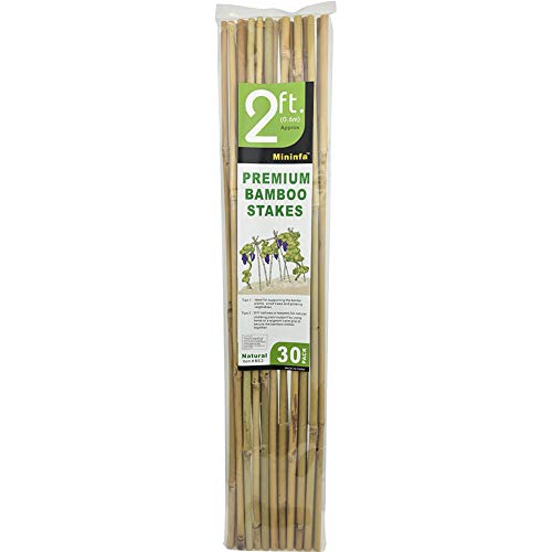 Natural Bamboo Stakes 2 Feet, Eco-Friendly Garden Stakes, Plant Stakes Supports Climbing for Tomatoes, Trees, Beans, 30 Pack - view 6