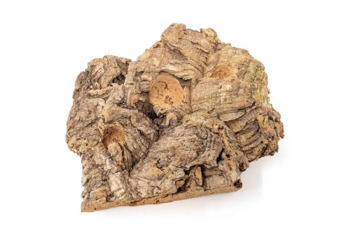 Medium Tabletop Cork Bark Display with 3 Tillandsia Air Plants - Wholesale and Bulk - Succulents - Live Tillandsia - Easy Care Indoor and Outdoor House Plants - view 3