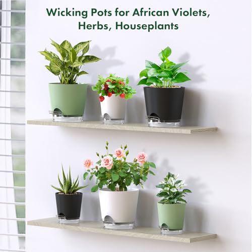 Self Watering Pots Set of 7 – Assorted Size 4" to 8" Indoor Plant Pots with Drainage Holes and Clear Reservoir for Visible Water Level, Plastic Wicking Planter for House Plants & Flower, Black - view 7