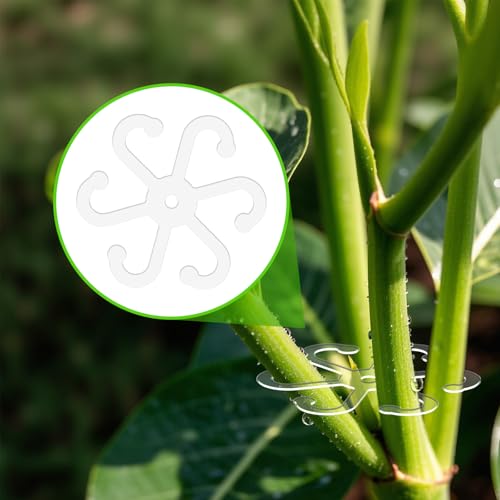 4pcs Plant Stem Support, Plant Stem Holder with Holes Acrylic Plant Trellis Stakes Monstera Plant Stabilizer Leaf Holder and Climbing Rack for Indoor & Outdoor Houseplants (4 Sizes, Transparent) - view 4