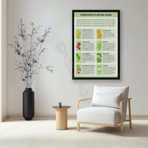 Companion Planting Guide Poster Plantings Types (2) - view 7