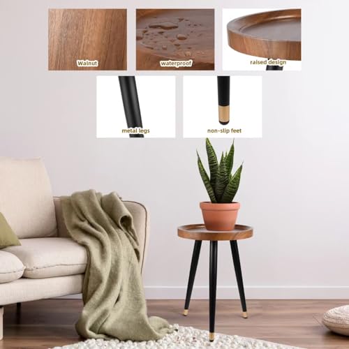 Indoor Plant Stand with Raised Design, End Table with Metal Tall - view 5