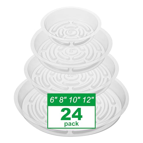 24 Pack Clear Plant Saucers - 6, 8, 10, 12 Inch Plastic Plant Trays for Pots, Flower Pot Saucers, Indoor & Outdoor Planter Drip Tray for Water Drainage & Protection