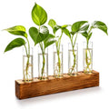 Plant Propagation Station, Plant Terrarium with Wooden Stand