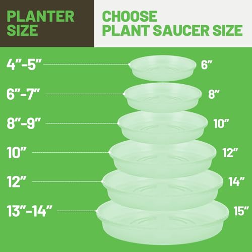 6-Pack Plastic Plant Saucers Tray for Indoor, 10 Inches, Clear - view 3