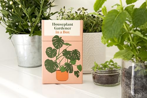 Houseplant Gardener in a Box: An Illustrated Houseplant Care Card Deck for Indoor Gardeners - view 2