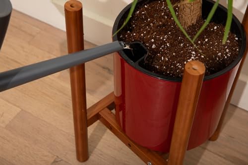 8 inch Self Watering Plant Pot for Indoor Plants, African Violets, Succulents, The Aqua Core Collection (Ruby Red) - view 6