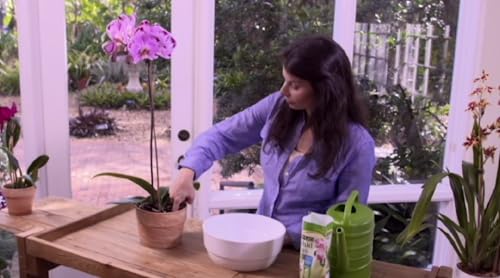 Orchid Better-Bloom Fertilizer, 11-35-15 | Urea-Free | Water Soluble | For Orchids | Promotes Blooms - view 6