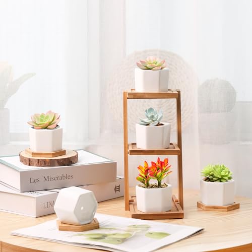 Small Succulent Pots 12 Pack, Mini Flower Planters with Drainage White - view 4